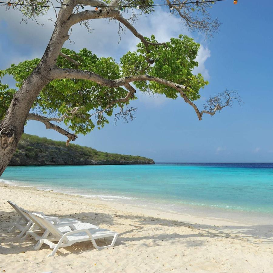 Las Olas Beach House Westpunt Bagian luar foto
