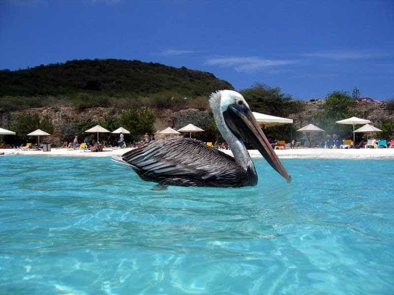 Las Olas Beach House Westpunt Bagian luar foto
